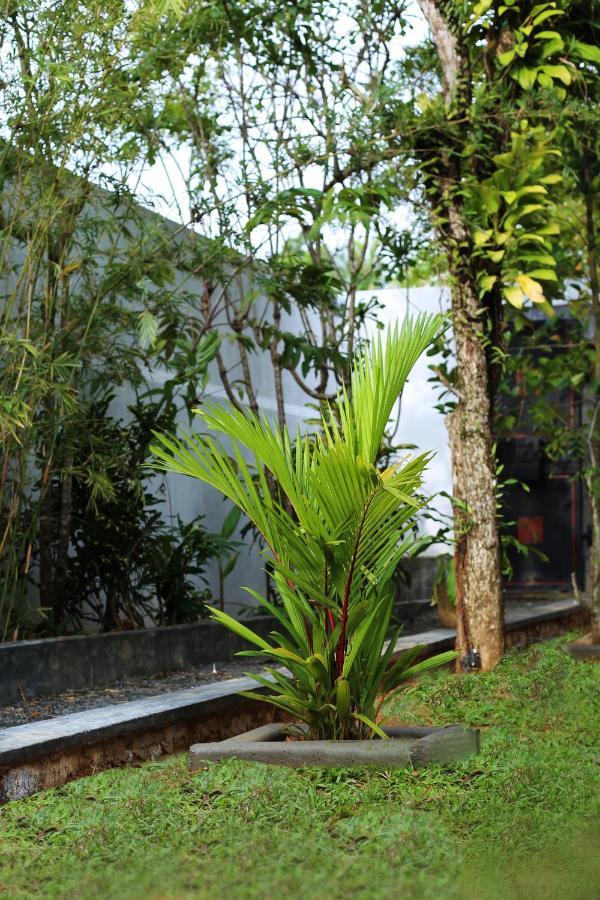Triple Edge Villa Unawatuna Extérieur photo